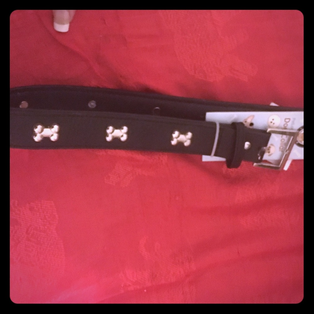 Classic pet London Large Dog collar